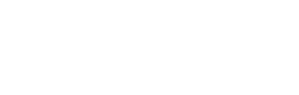 Deep South USA Logo